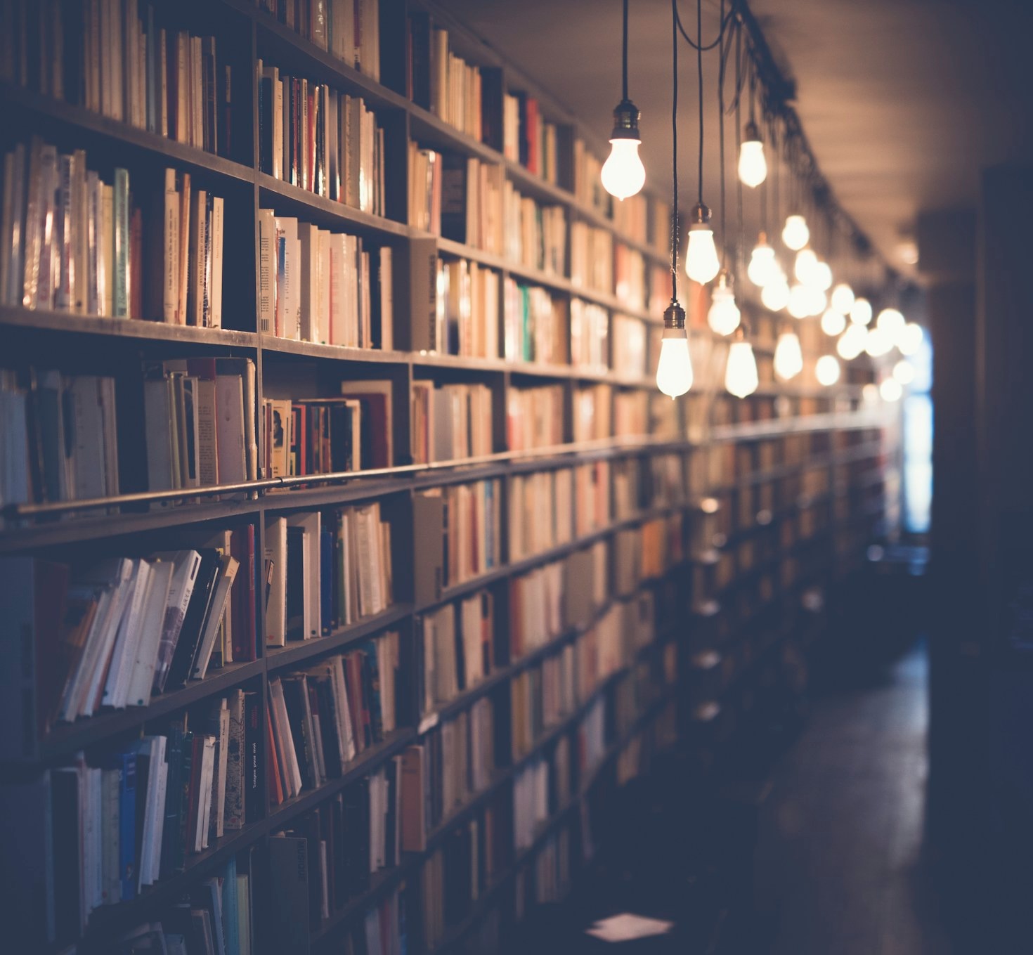 Empowering Policy Analysts with Knowledge