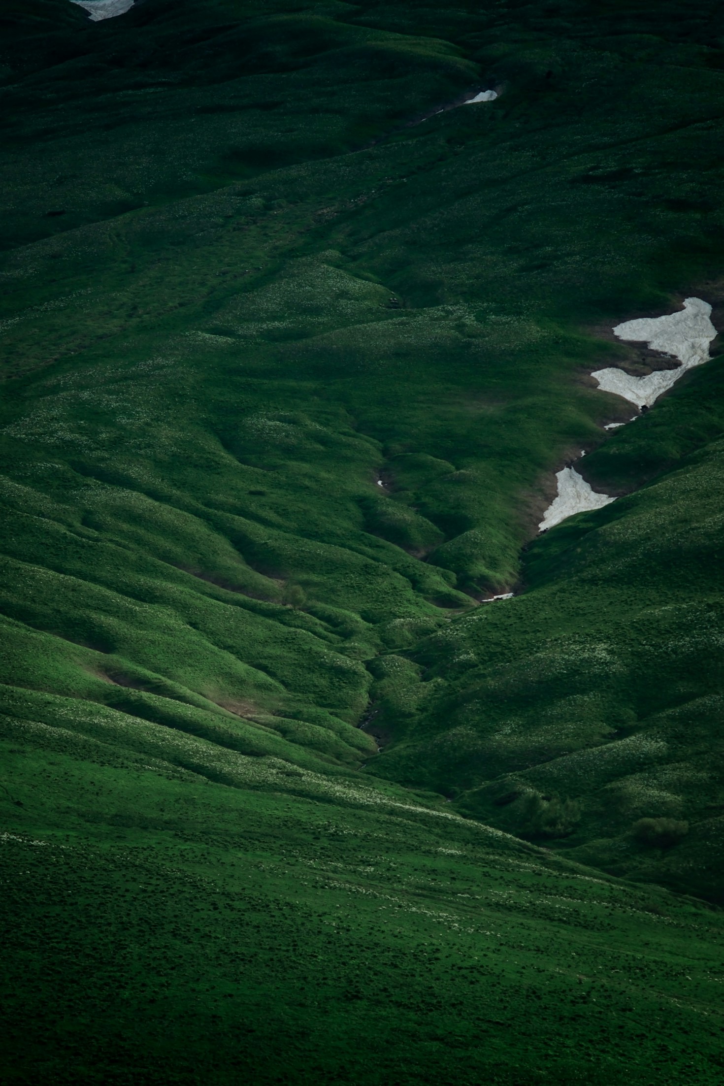 Strategic Insights for the Caucasus Region