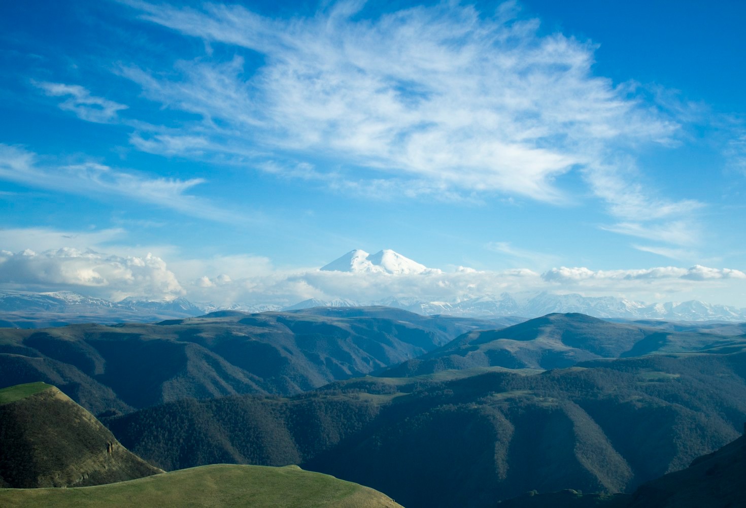 Building Stronger Policies for Georgia’s Future
